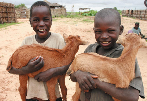 국내 모금을 통해 아프리카의 니제르에 염소 보내는 캠페인이 시작됐다. /세이브더칠드런 제공
