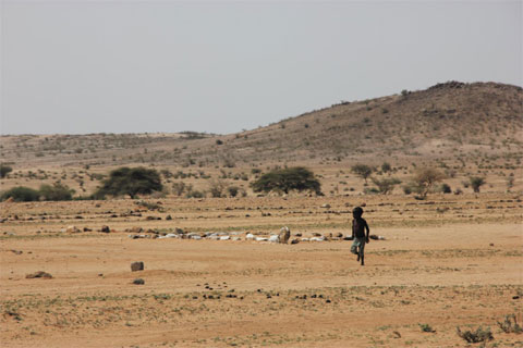 미상_사진_국제구호_가뭄_2011