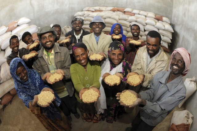 굿네이버스 에티오피아지부 헤토사지역 밀 조합의 조합원들 사진
