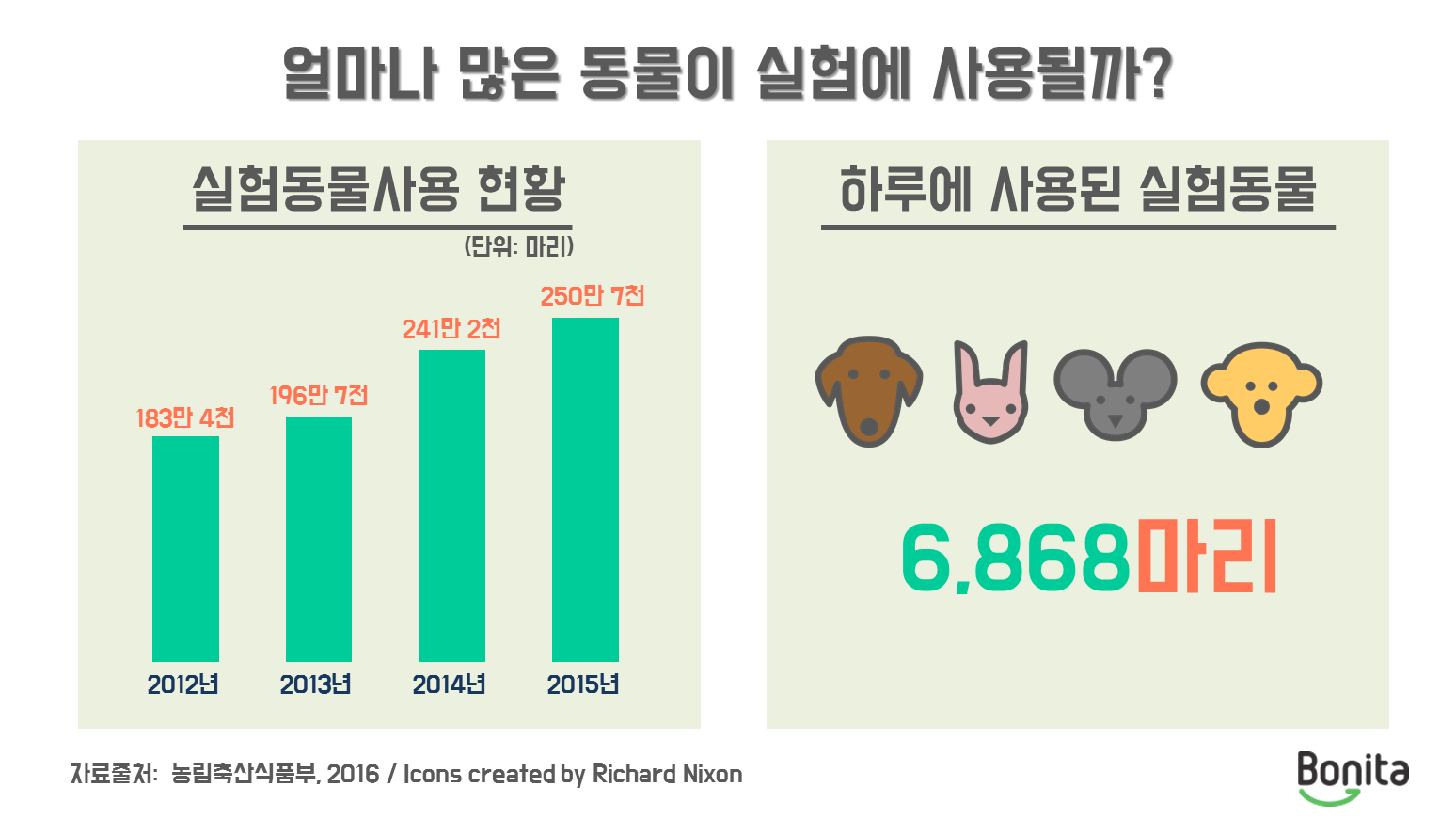 보니따의 지속가능한 세상만들기] 비글은 왜 샴푸를 싫어할까? - 더나은미래