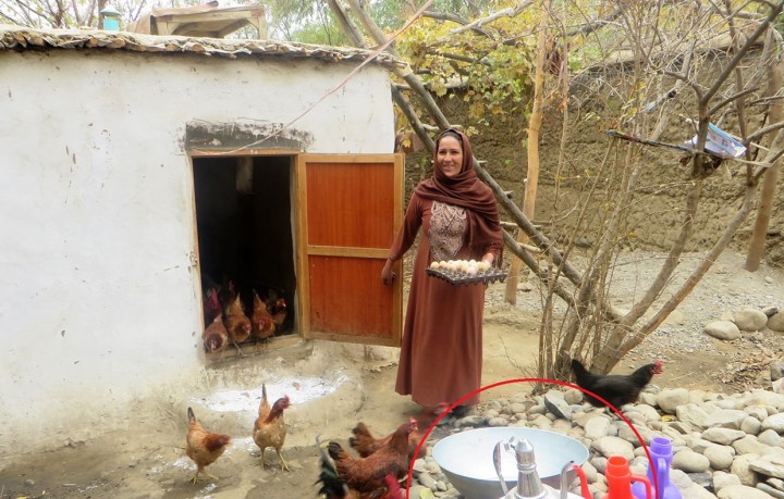 양계 사업 지원으로 집 마당에 양계장을 마련한 아프가니스탄 여성. ⓒ엔이아이코리아