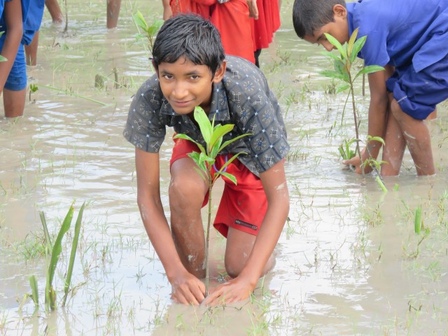 방글라데시 학생이 미세먼지 예방을 위해 맹그로브 나무를 심는 모습. ⓒ환경재단 