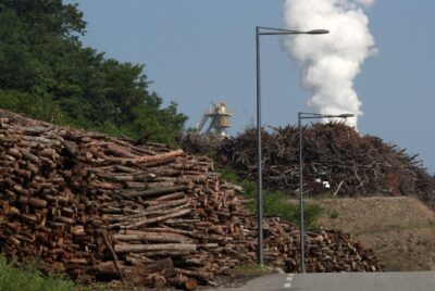 지난해 5월 충북 진천군 초평면에 있는 목재 펠릿 생산 공장에 벌채된 나무와 부산물이 쌓여 있다. /조선DB