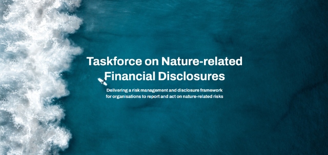 TNFD(Taskforce on Nature-related Financial Disclosures) 공식 홈페이지. /TNFD 홈페이지 캡쳐