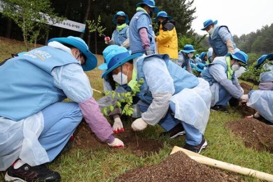 김학동 포스코 부회장(가운데)이 14일 포항 환호공원에서 모감주나무 묘목을 식재하고 있다. /포스코 제공