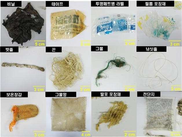 바다거북 사체의 소화관에서 발견된 플라스틱 쓰레기 종류. /한국해양과학기술원 제공