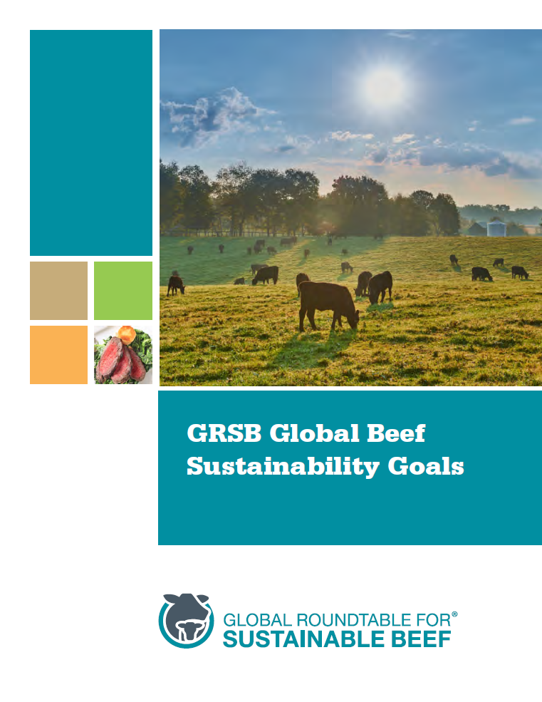'글로벌 지속가능한 소고기 협의체(GRSB)' 추진 목표 보고서. /GRSB 제공