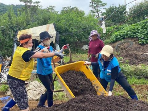 충남 부여의 농가에서 복구 작업을 하는 경북 울진군 주민들. 지난 4월 울진에서 산불이 발생했을 때 전국에서 보내 온 도움의 손길에 대한 감사의 마음을 가지고 이번 복구 봉사에 나섰다. /한국중앙자원봉사센터 제공