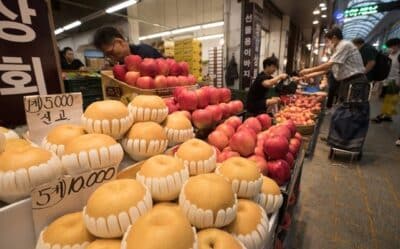 서울 동대문구 경동시장을 찾은 시민들이 과일을 구매하고 있다. /조선DB