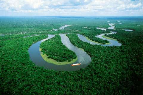 브라질 아마존 열대우림. /EPA연합뉴스