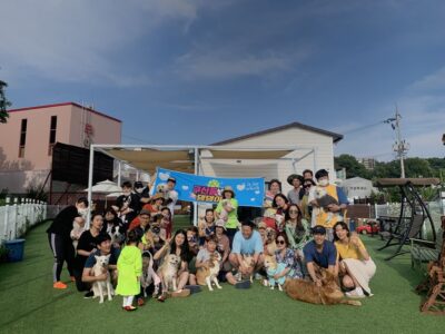 서울 은평구 주민들은 마을 내 건강한 반려견 문화를 조성하기 위해 마을공동체 사회문제해결형사업에 참여해 2년간 활동을 이어가고 있다. /서울시마을공동체종합지원센터