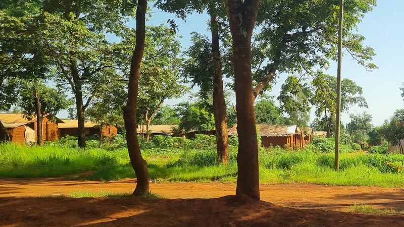 탄자니아 카술루 지역에 마련된 냐루구수 난민촌. 수년에 걸쳐 정착한 난민들이 직접 지은 통나무집들이 보인다. /탄자니아=김소희 해외통신원