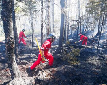 지난달 30일(현지 시각) 캐나다 노바스코샤주에서 소방관들이 산불 진화 작업을 하고 있다. /AFP 연합뉴스