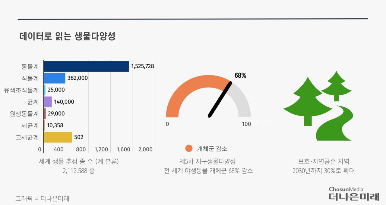 [데이터로 읽는 생물다양성] 50년 동안 전 세계 생물종 3분의 2 감소 - 더나은미래