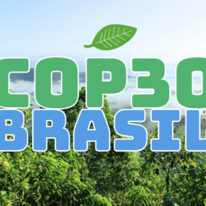 cop30 brasil