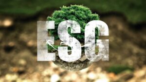 ESG 경영이 중소기업 경쟁력 높인다...우선 실천 과제는?