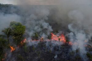 화재 잇따르는 브라질 아마존 열대우림